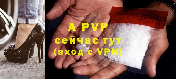 индика Богородск