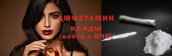 индика Богородск