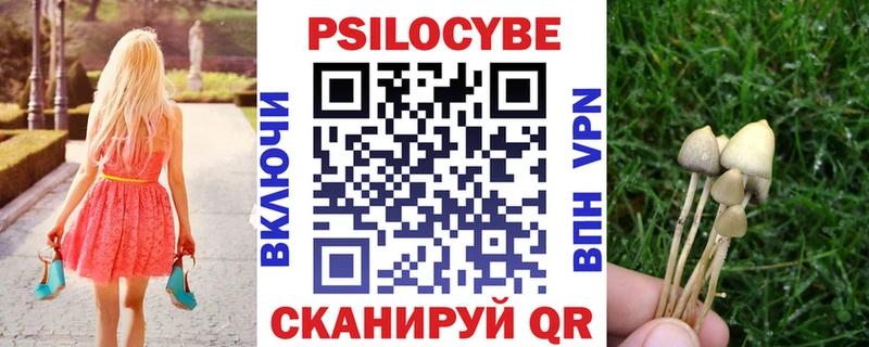 Псилоцибиновые грибы MAGIC MUSHROOMS  Купить  Нелидово 